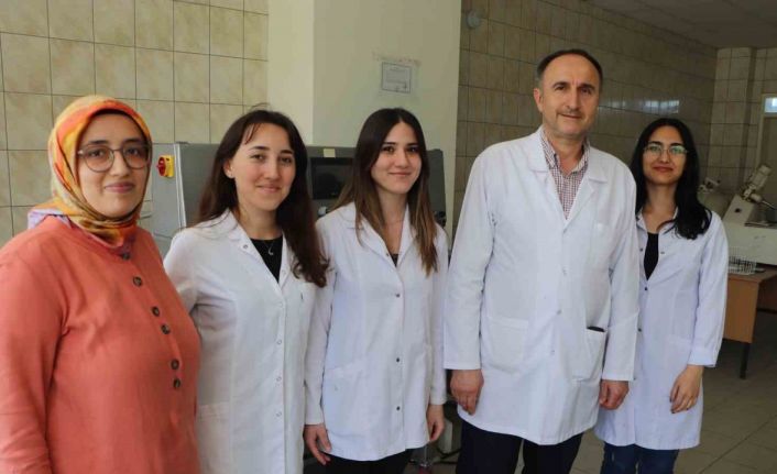 Geliştirilen bu yoğurucu ile artık yüzde 100 çavdar unundan ekmek yapılabilecek