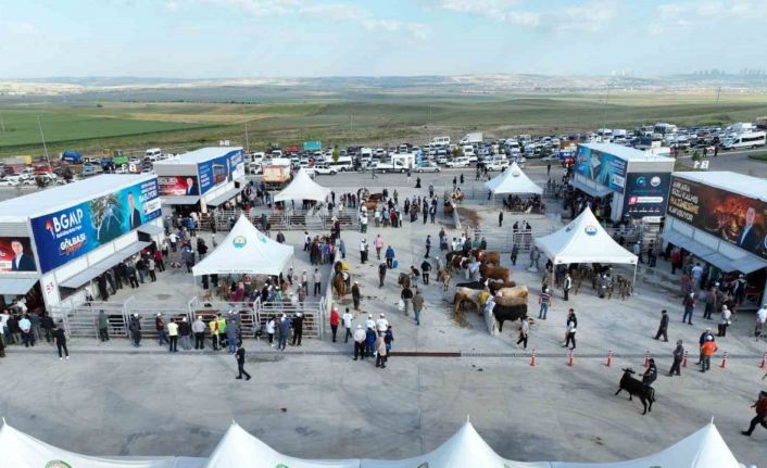 Gölbaşı Modern Kurban Satış ve Kesim Merkezi’nde bayram heyecanı