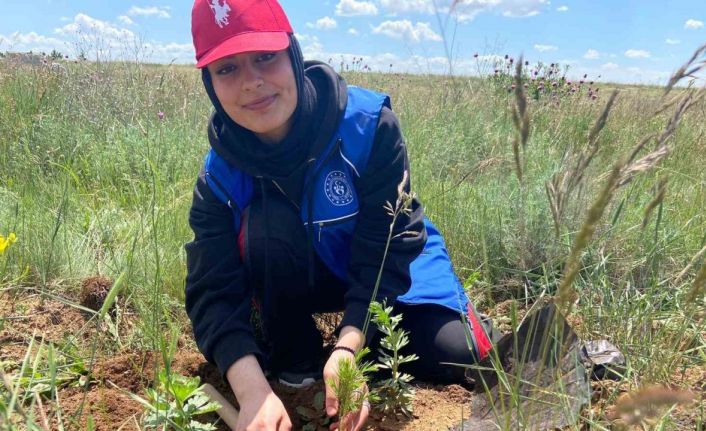 Gönüllü gençler fidanları toprakla buluşturdu, çevredeki çöpleri topladı