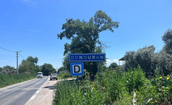 Gri balıkçılların sıra dışı yuvaları korunuyor