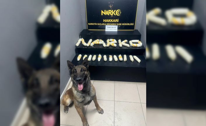 Hakkari’de 9 kilo metamfetamin ele geçirildi