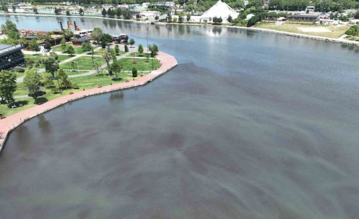 Haliç eski günlerine geri döndü: Haliç’i besleyen Alibey deresi atıklarla doldu