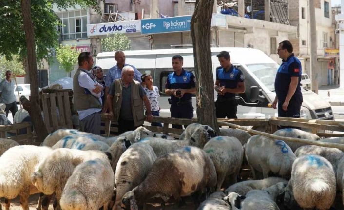 Haliliye Belediyesi kurban bayramında 635 personeliyle sahada