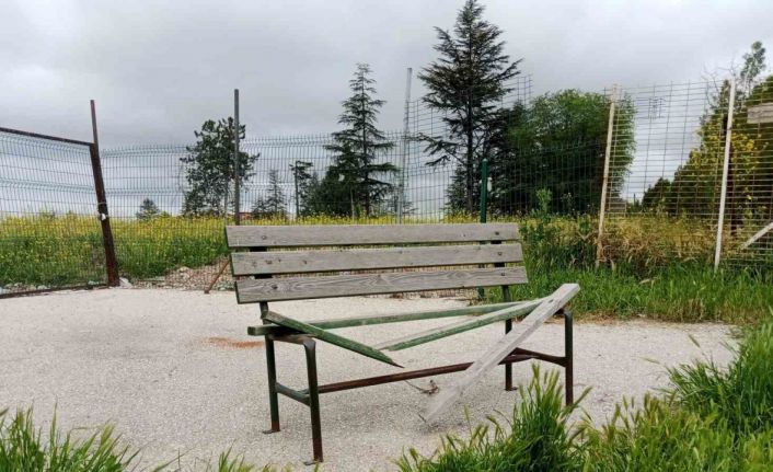 Hastanenin önündeki bank vandalların hedefi oldu