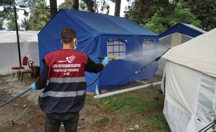 Hatay’da deprem sonrası haşere üreme alanı 120 binden 1 milyona çıktı