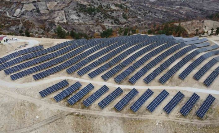 Hayat, enerjisini güneşten alıyor