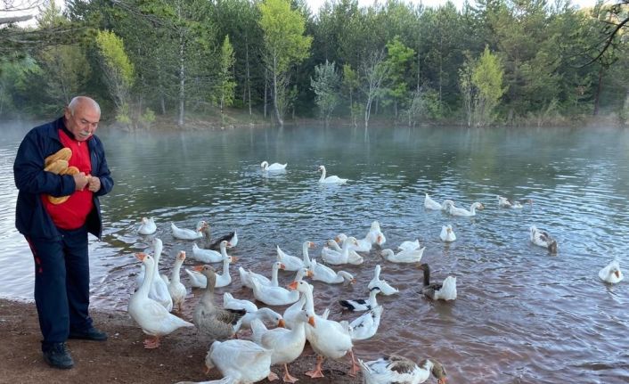 Hayvanları beslemeden spora başlamıyor