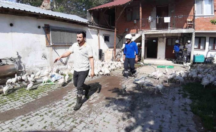 Hindi çiftliğinde yangın çıktı