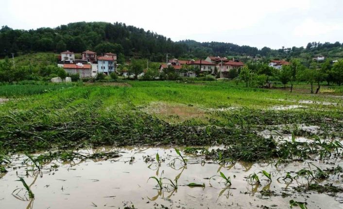 Hisarcık’ta sağanak yağış sonrası tarım arazileri sular altında kaldı