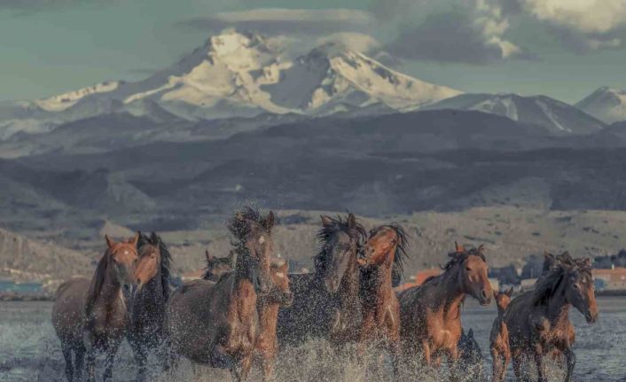 Hürmetçi Sazlığı Türkiye’nin bildiği tanıdığı bir alan olacak