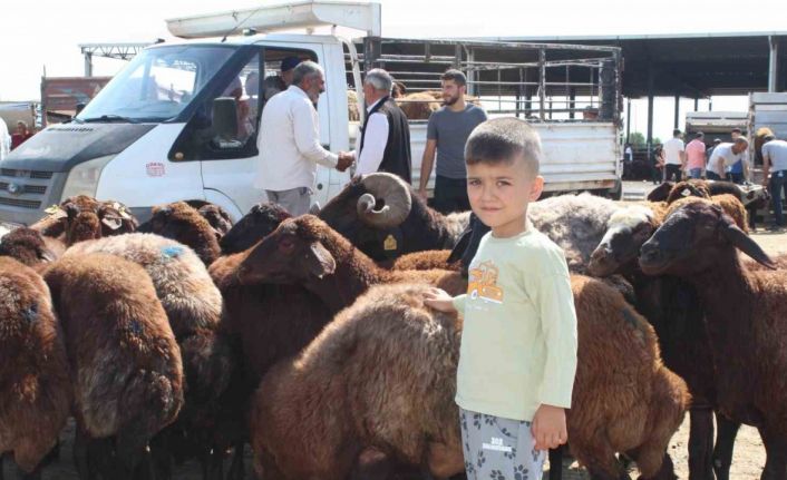 Iğdır’da Kurban Bayramı’na saatler kala kurbanlık satışı devam ediyor