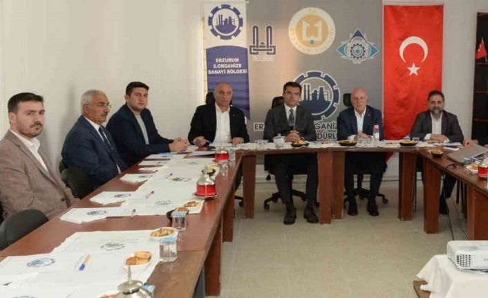 İkinci OSB’ye 236 yatırımcı tahsis talep etti