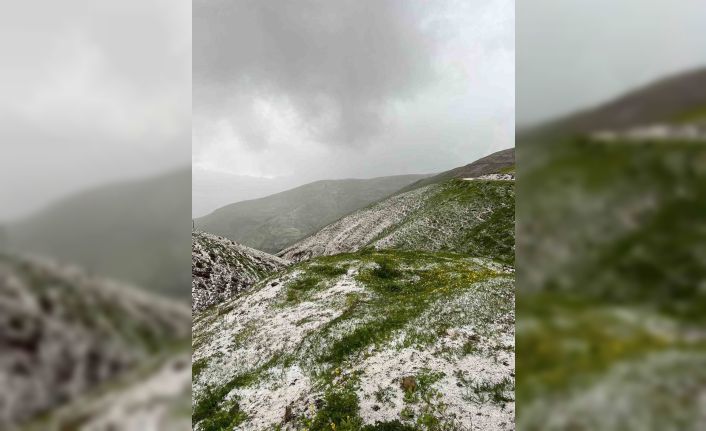 İliç’te sağanak ve dolu yağışı etkili oldu