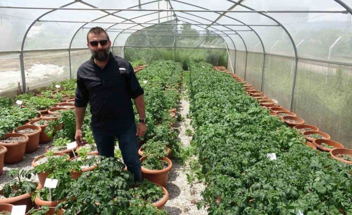 Islah çalışması yapılıyor, yüksek fiyatlara çözüm olacak