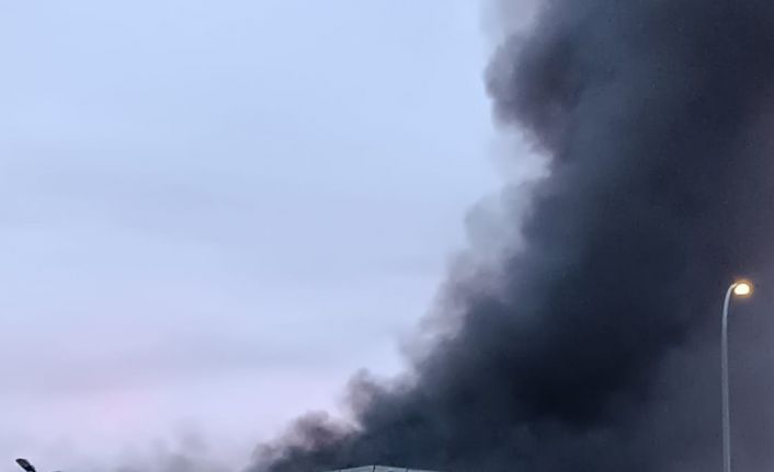 İzmir’de yağ fabrikasında korkutan yangın