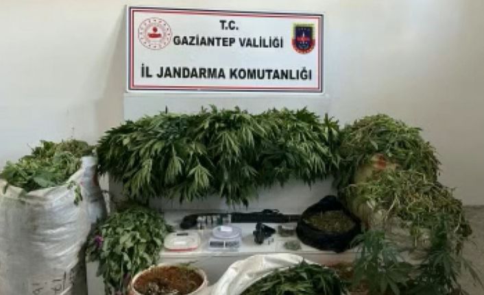 Jandarmadan dev uyuşturucu operasyonu: 23 bin 770 kök haşhaş ele geçirildi