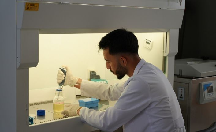 Karabük Üniversitesi 29 alanda en iyi üniversiteler arasında