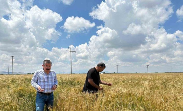 Karapınar’da yoğun yağış alan tarım alanları incelendi