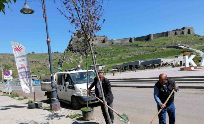 Kars’ta kuruyan ağaçlar değiştiriliyor