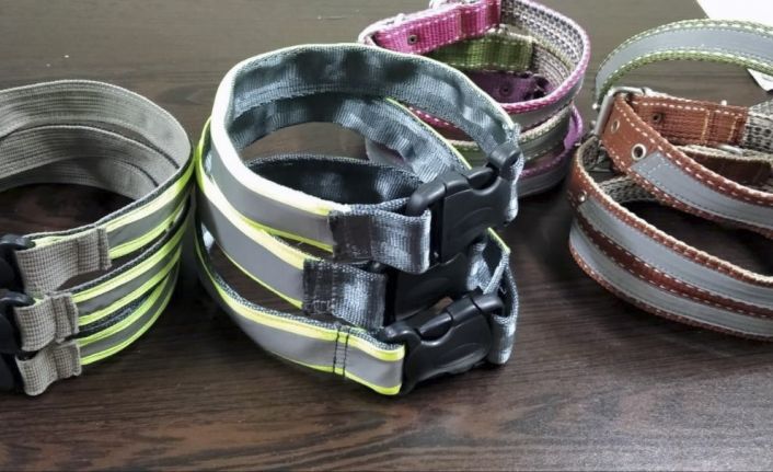 Kazaları önlemek için reflektörlü tasma diktiler