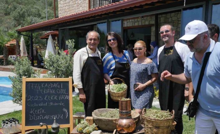 Kazdağları’nın kekikleri hasat edilmeye başlandı