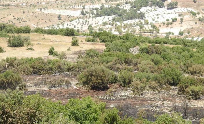 Kilis’teki orman yangınında 20 dönüm arazi kül oldu
