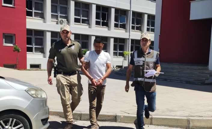 Koyunu döverek bayıltan kasaptan pişkin savunma: "Yormak için öyle yaptım"