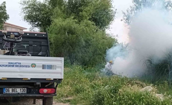 Malatya’da haşere ile mücadele çalışmaları sürüyor