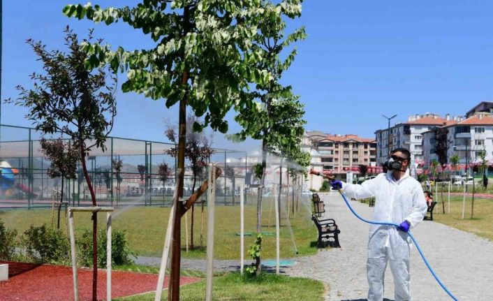 Mamak Belediyesi’nden çevre dostu biyolojik mücadele