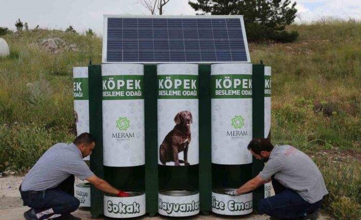 Meram’da sokak hayvanlarının mama kapları artık otomatik dolacak
