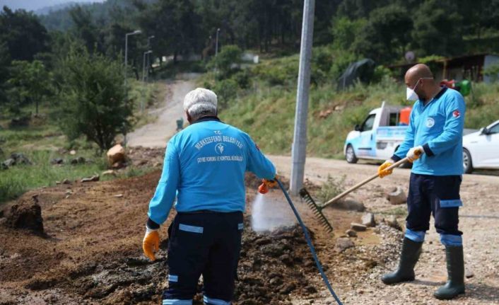 Merkezefendi’de tüm mahalleler ilaçlanıyor
