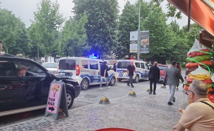 Millet bahçesinde yanan palmiye itfaiyeyi harekete geçirdi