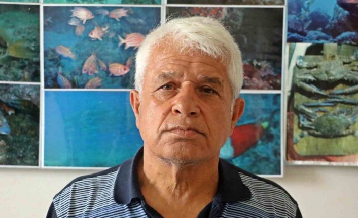 Mısır’da Rus turisti öldüren köpek balığı için profesörden ürperten yorum: "İlk vakası olmayabilir"