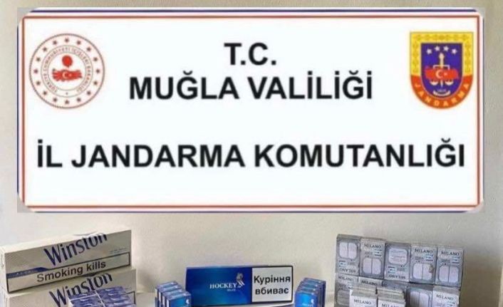 Muğla’da kaçak sigara operasyonu