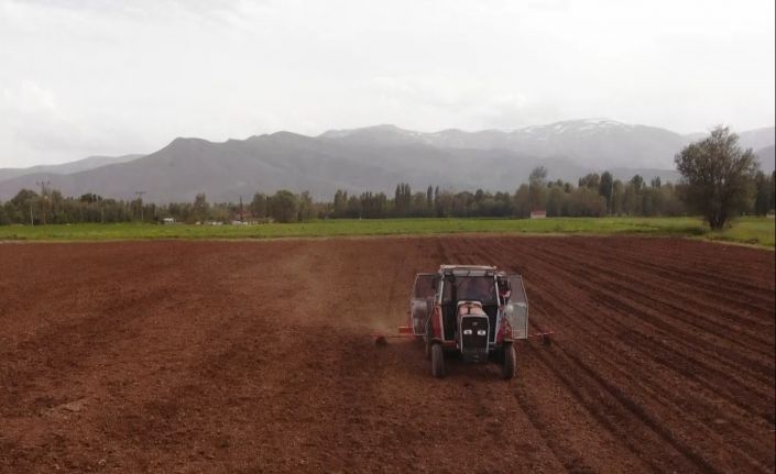 Muş’ta ilk defa silajlık soya ekimi yapıldı