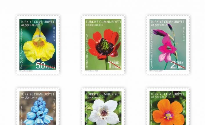 NÖHÜ öğretim üyesinin çektiği fotoğraflar pullarda