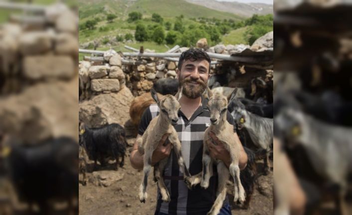 Öksüz kalan yaban keçileri "Munzur" ve "Dersim"den güzel haber