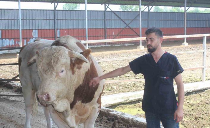 Onu gören şaşırıyor: İkinci el otomobil fiyatına alıcısını bekliyor