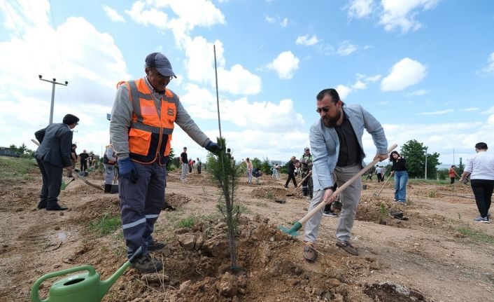 Özel EOSB Meslek Lisesi ilk mezunları için hatıra ormanı oluşturdu