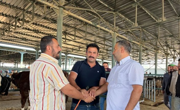 (ÖZEL) Eskişehir’de kurbanlık satıcısı çifte bayram yapıyor