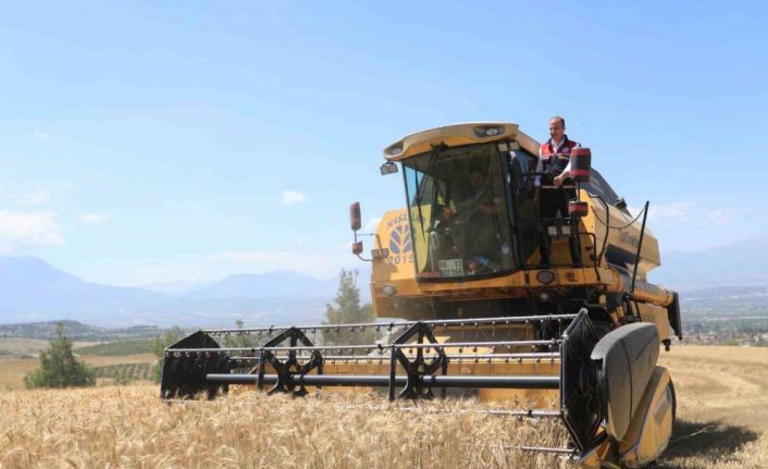 Pamukkale’de hasat başladı