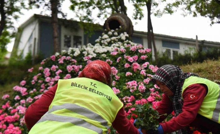 Park ve bahçelerde yapılan çalışmalarla Bilecik’i güzelleşiyor
