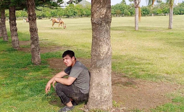 Sahibini düşüren atın parkta başıboş dolaşması vatandaşları tedirgin etti