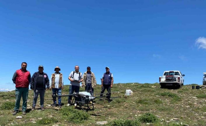 Salihli’de çekirgeye karşı dron ile mücadele