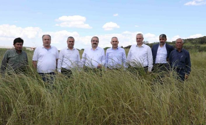 Salihli’de Mera Islah ve Amenajman Projesi açıldı