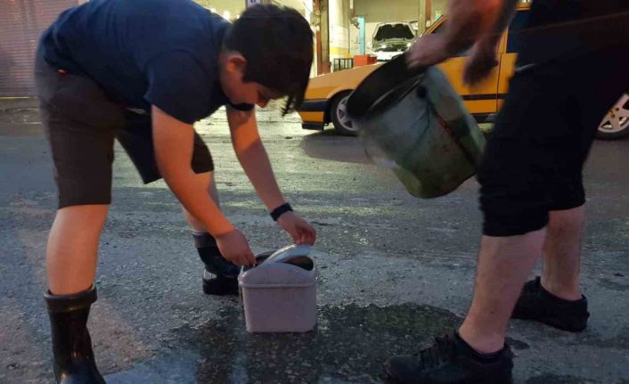 Samsun’da selden etkilenen balıklar ırmağa bırakıldı