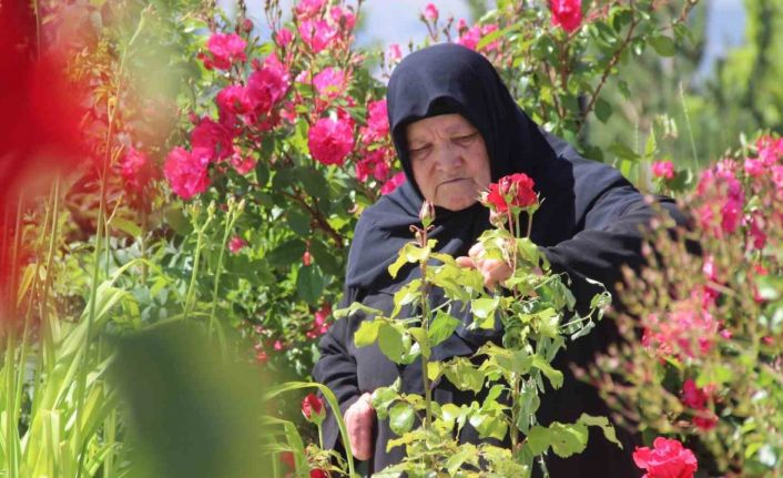 Şehitler bayram arefesinde mezarları başında anıldı