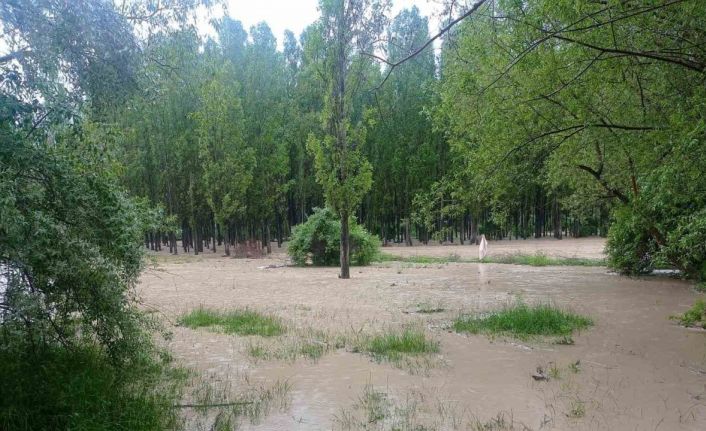 Sel, tarım arazilerine zarar verdi
