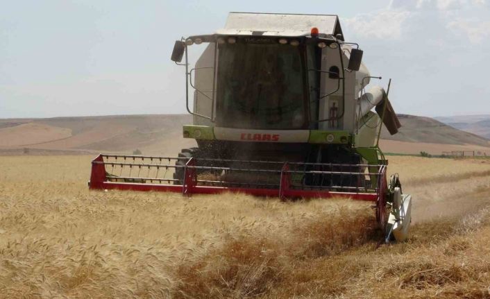 Siirtli çiftçinin 310 bin dekar buğday tarlasından beklentisi 160 bin ton üzeri
