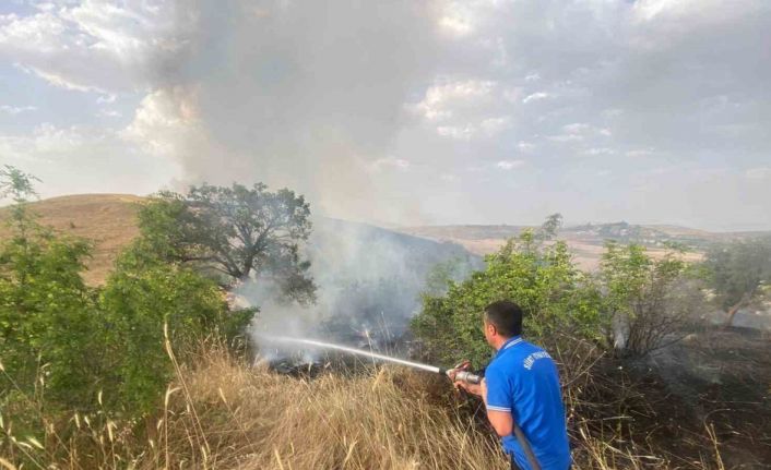 Siirt’te 65 dönüm buğday kül oldu